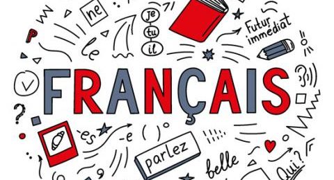 FLE-web
